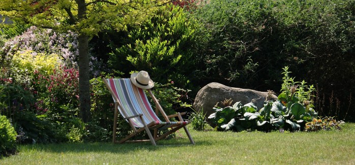 grass-wood-lawn-meadow-flower-summer-611539-pxhere.com